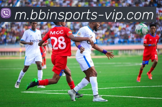 BBIN体育平台生态图